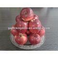 Red delicious apple 100-125 18kg